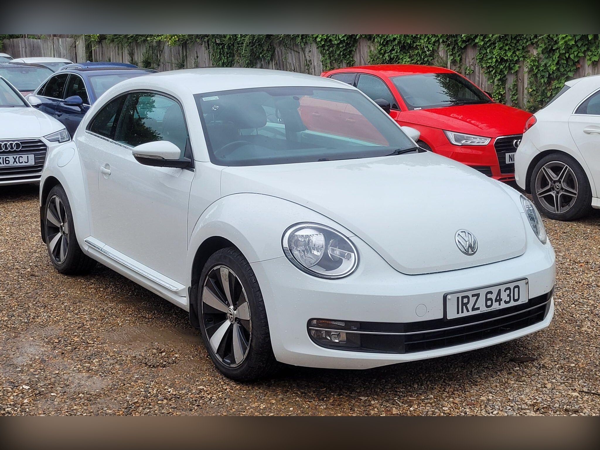 Volkswagen Beetle
