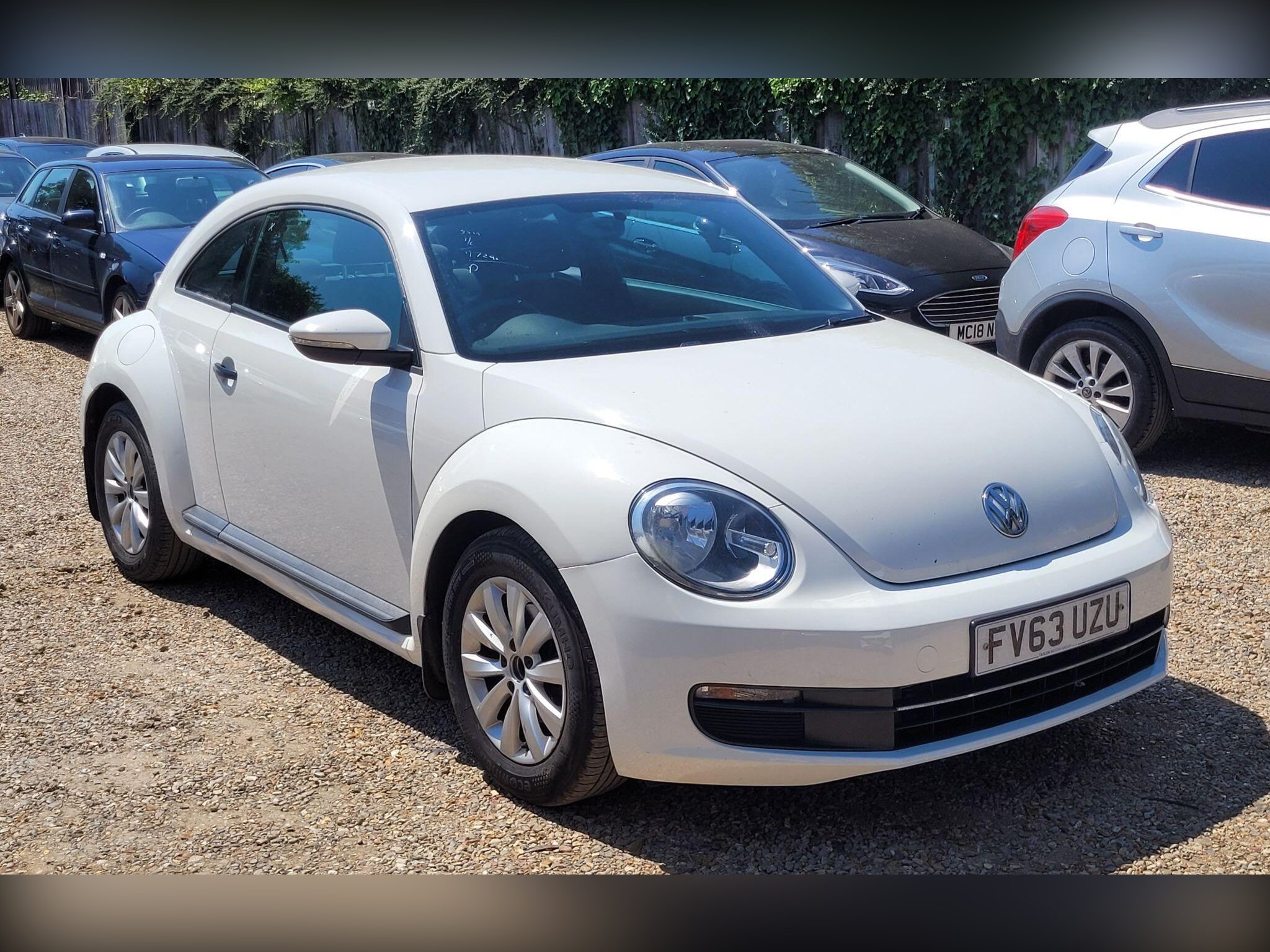 Volkswagen Beetle